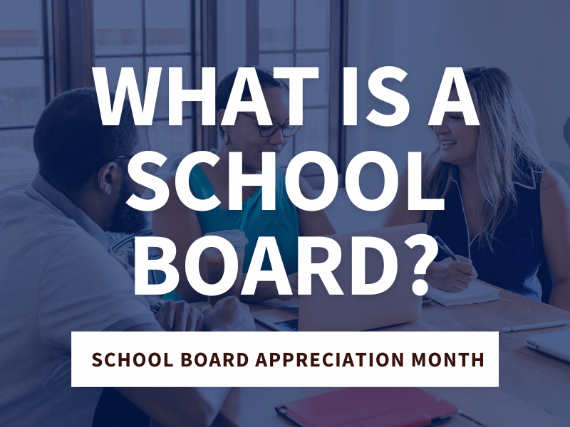 What is a school board?