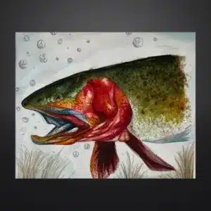 Best of Show – Gills In Color