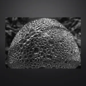 Photography – Bubbles