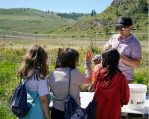 steminfield20 Students determining the volume of water at BDA in Scotch Creek and testing Vertical Dams with Recycled Bottles