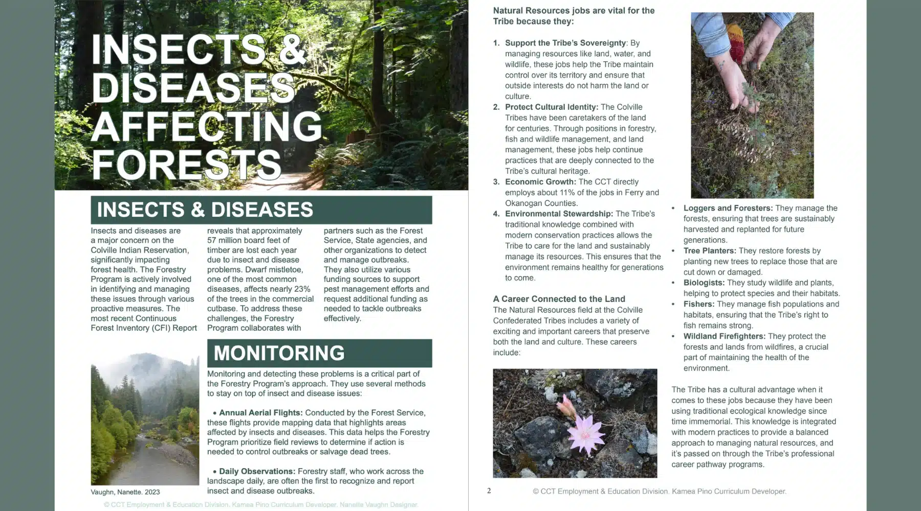 Screenshot of digital course materials, including the handout on Insects and Diseases Affecting Forests.